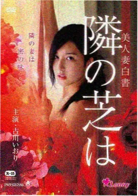 流媒体时代的美国电影发行